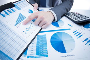 洞察市場，鏈接貿(mào)易 國內(nèi)知名市場調(diào)研與貿(mào)易代理服務(wù)機(jī)構(gòu)概覽